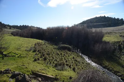 DSC_1070 (Large).JPG